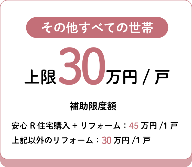 その他 上限30万円
