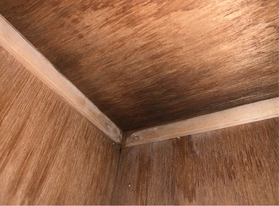 雨漏りやカビの予防